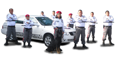 SEPRYTEC Segurida privada