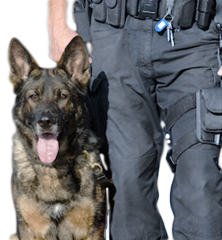 SEPRYTEC S.A. de C.V. K-9